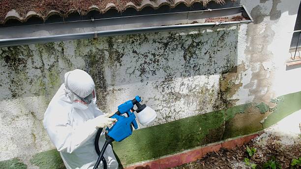 Top rated local Mold Remediation specialists in Glenwood, GA